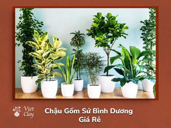 chau-gom-su-binh-duong-gia-re