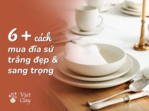dia-su-trang-hinh-chu-nhat-vuong-tron-gia-re