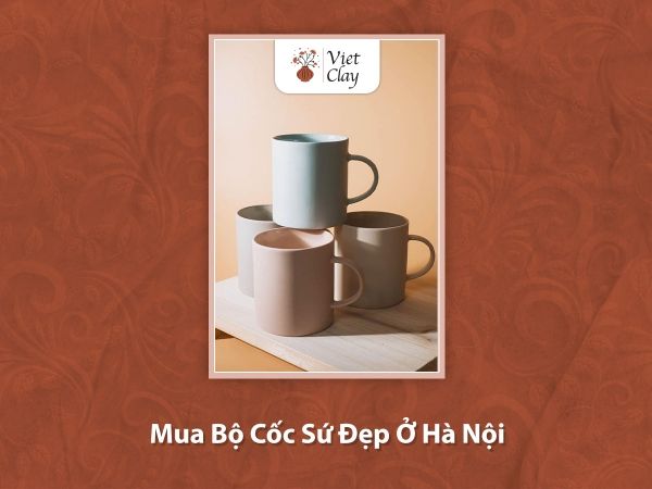 mua-bo-coc-su-dep-o-ha-noi